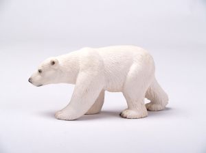 Polar bear white